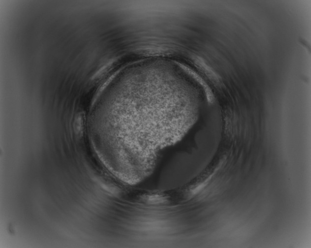 X0000095670165200801221211