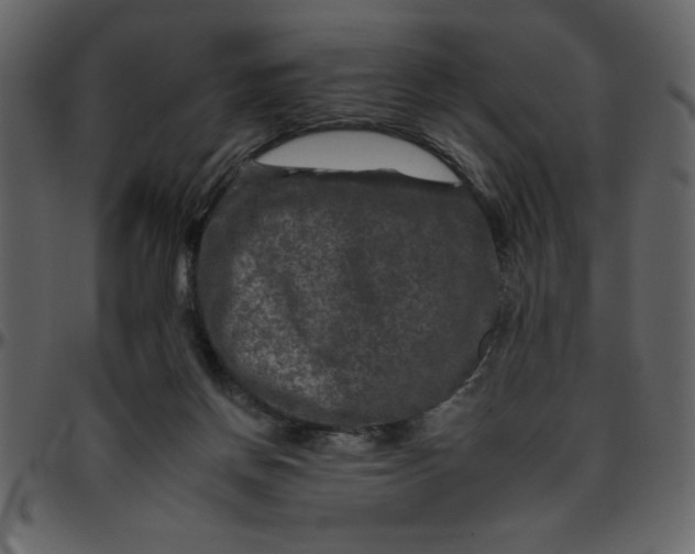 X0000095670166200801221211