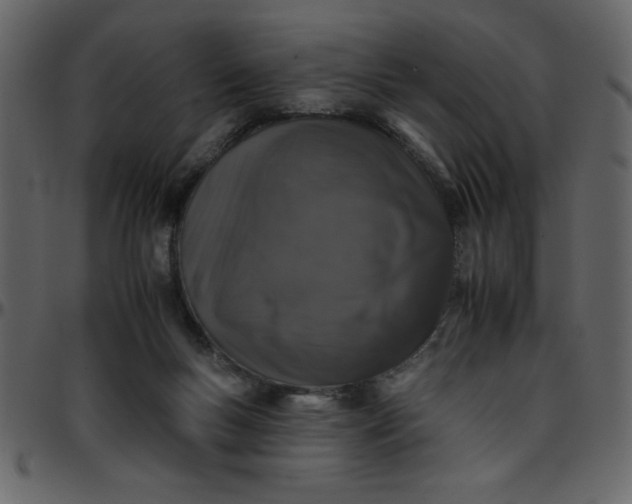 X0000095670167200801221212