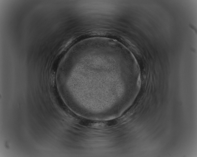 X0000095670168200801221212