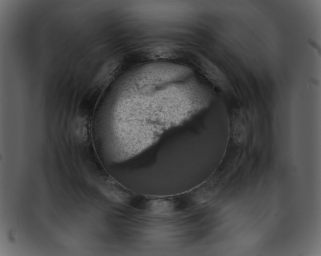 X0000095670169200801221212