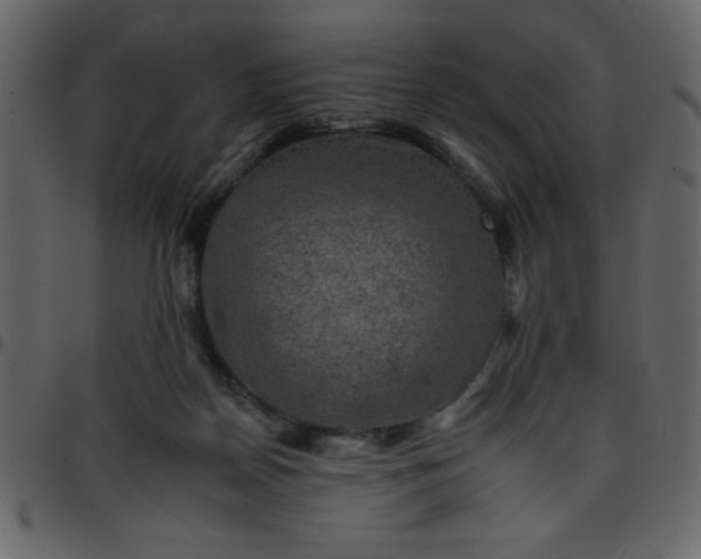 X0000095670170200801221212