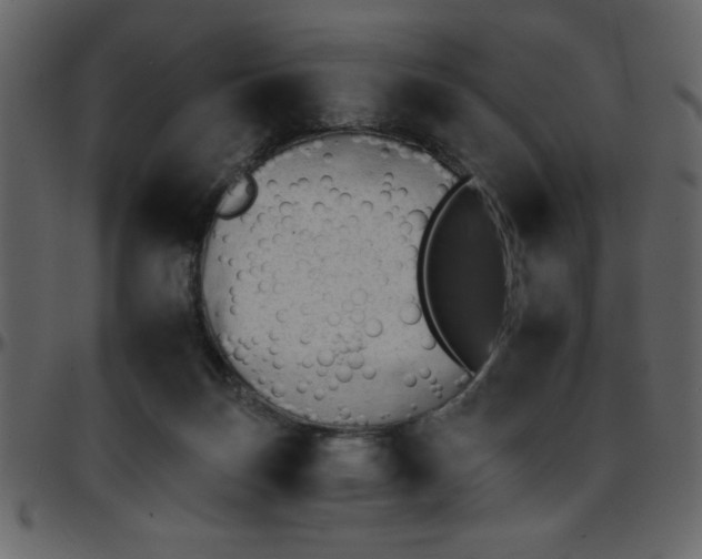 X0000095670171200801221212