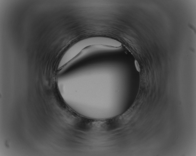 X0000095670172200801221212