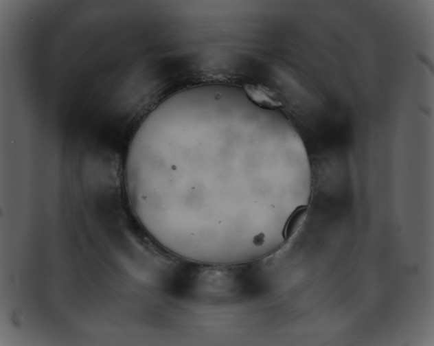 X0000095670174200801221212