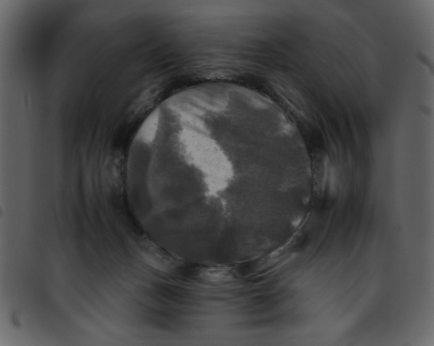 X0000095670175200801221212