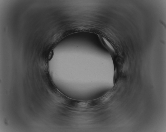 X0000095670176200801221212