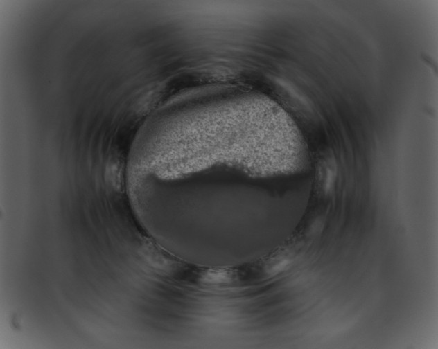 X0000095670177200801221212