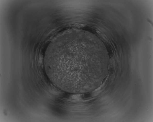 X0000095670178200801221212