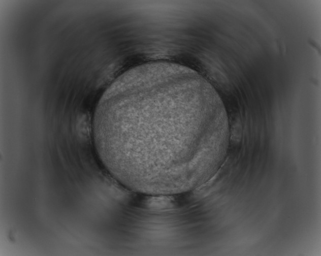 X0000095670179200801221212