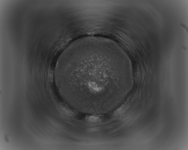 X0000095670180200801221212