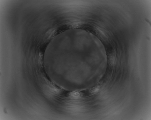 X0000095670181200801221212