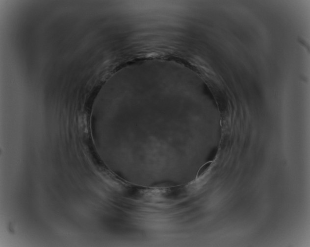 X0000095670182200801221212