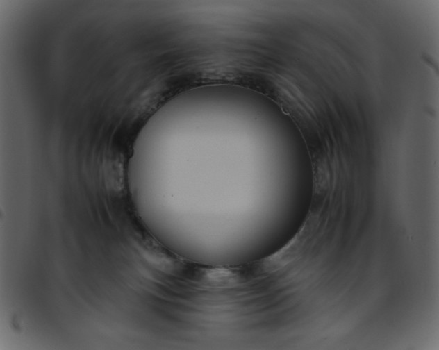 X0000095670183200801221212