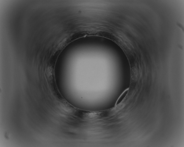 X0000095670184200801221212