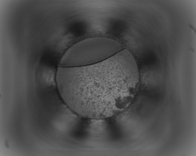 X0000095670185200801221212