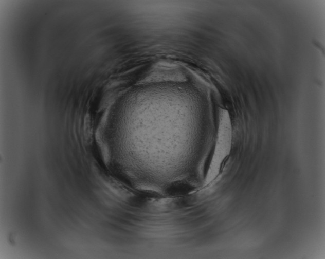 X0000095670186200801221212