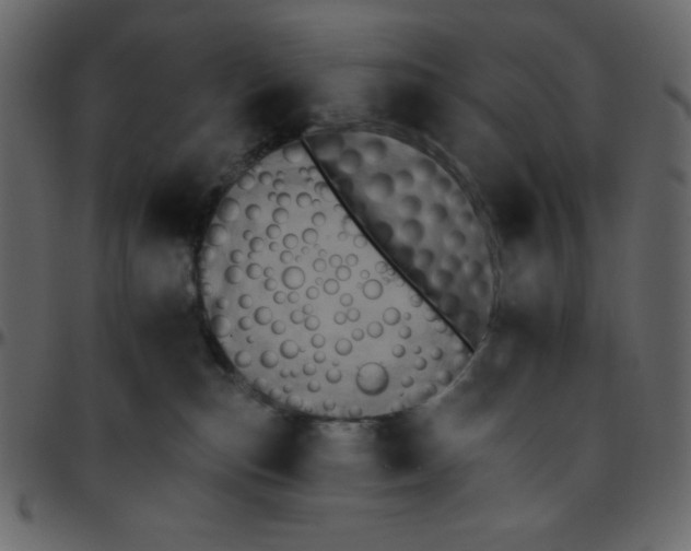 X0000095670187200801221212