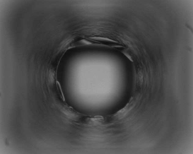 X0000095670188200801221212