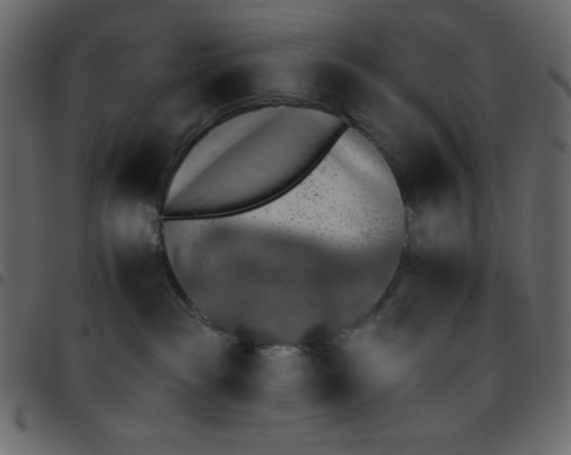 X0000095670189200801221212