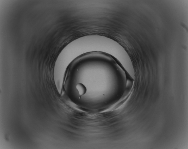 X0000095670190200801221212