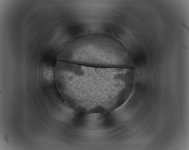 X0000095670191200801221212