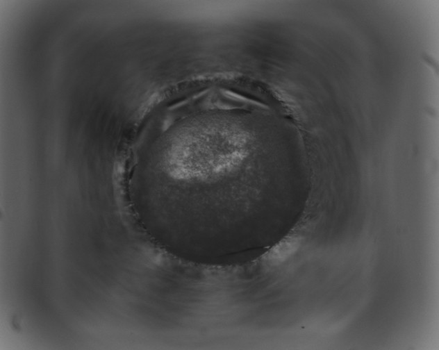 X0000095670192200801221212