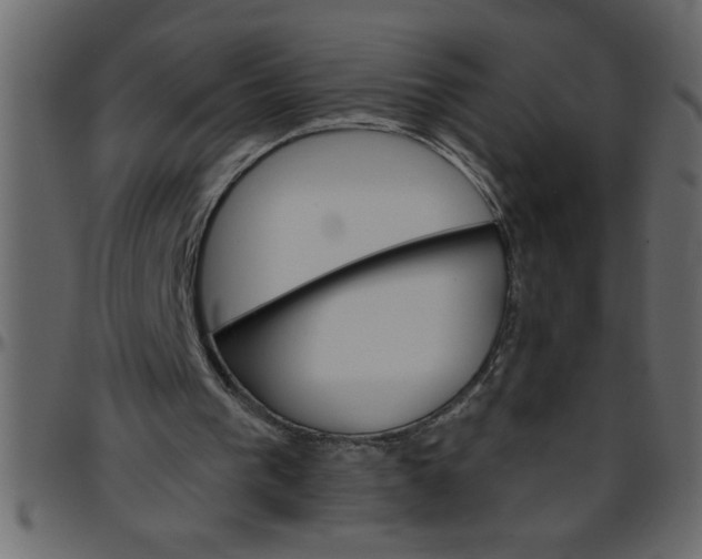 X0000095670193200801221211