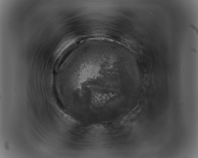 X0000095670194200801221211