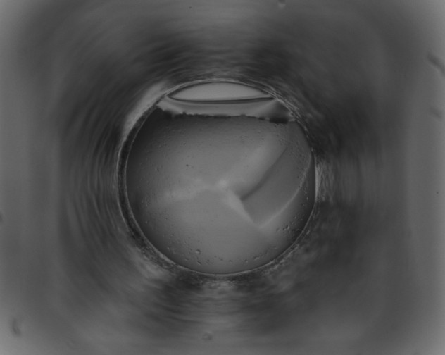 X0000095670195200801221211