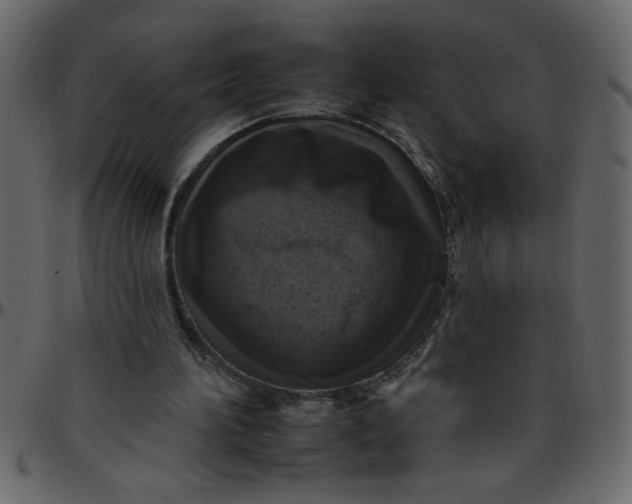 X0000095670196200801221211