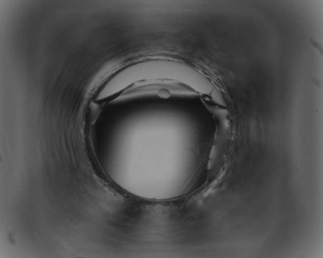 X0000095670197200801221211