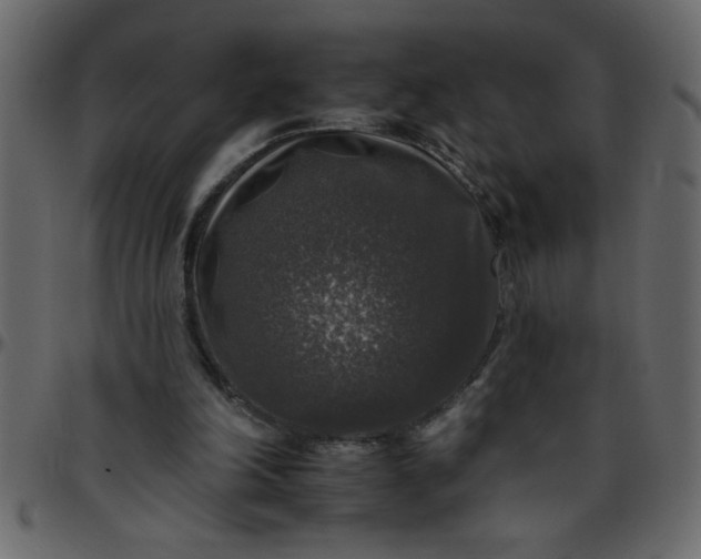 X0000095670198200801221211