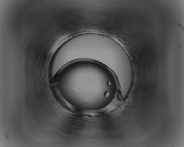 X0000095670199200801221211