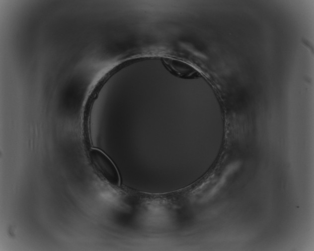 X0000095670200200801221211