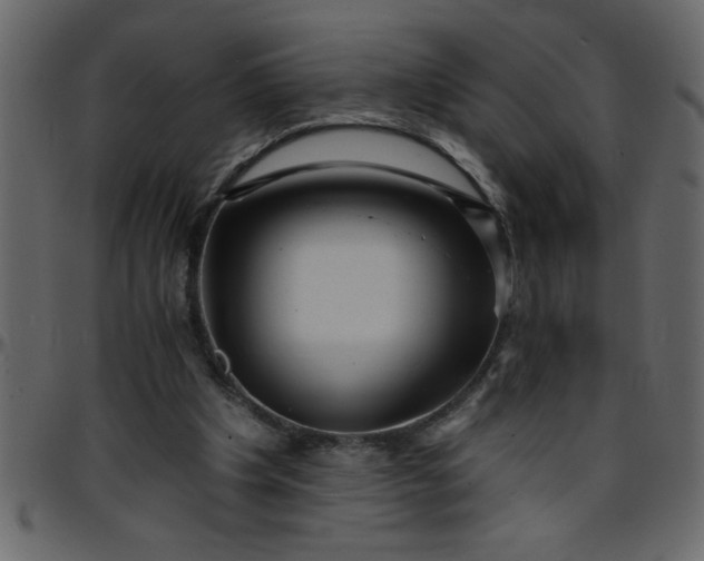 X0000095670201200801221211