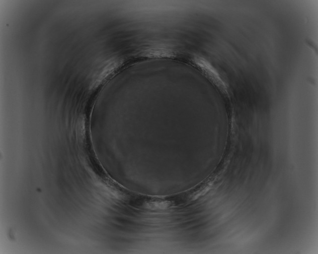 X0000095670202200801221211