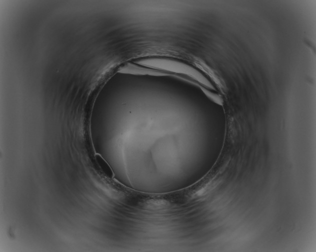 X0000095670203200801221211