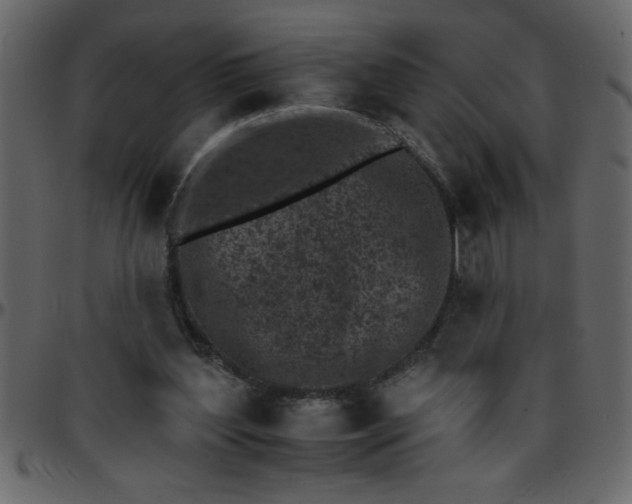 X0000095670204200801221211