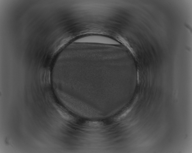 X0000095670205200801221211