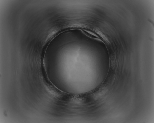 X0000095670207200801221211