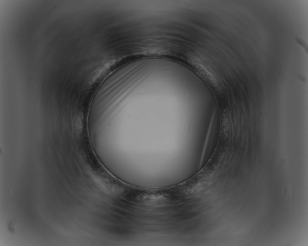 X0000095670208200801221211