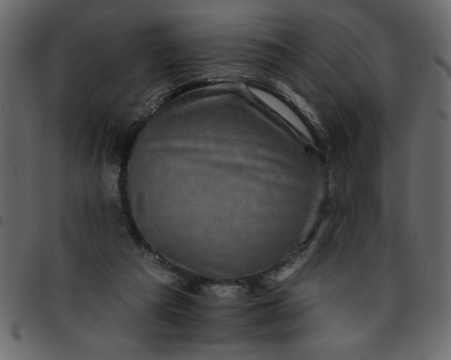 X0000095670209200801221211