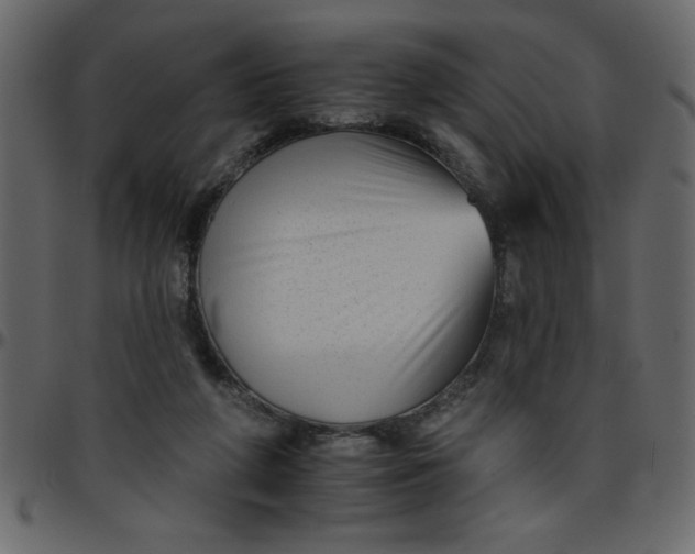 X0000095670210200801221211