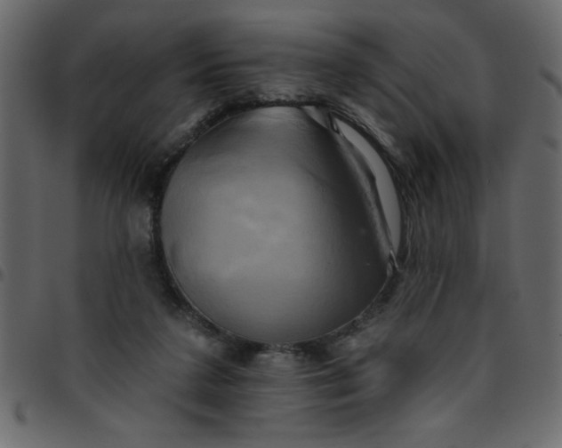 X0000095670211200801221211