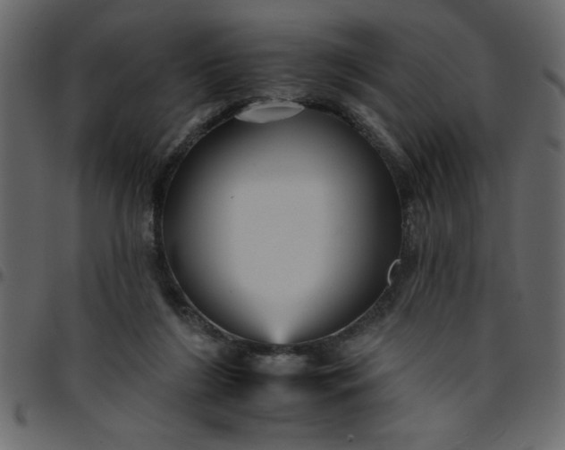 X0000095670212200801221211