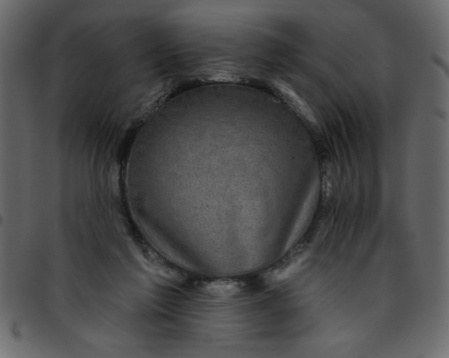 X0000095670213200801221211