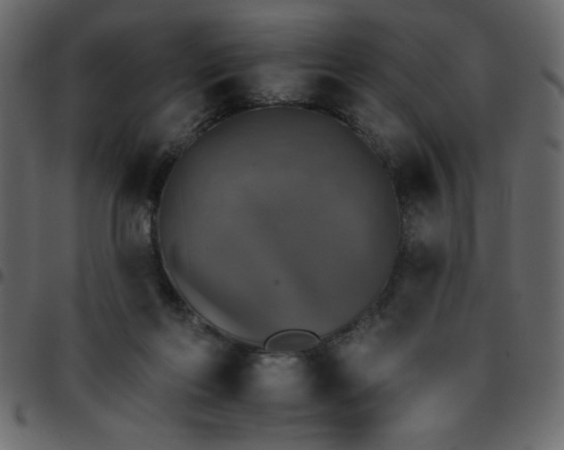 X0000095670214200801221211