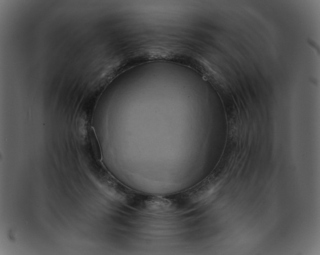 X0000095670215200801221211