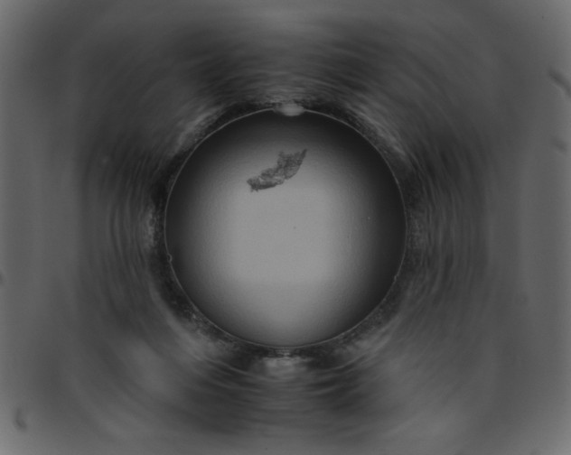 X0000095670216200801221211